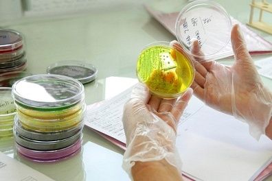 Nhà vi khuẩn học