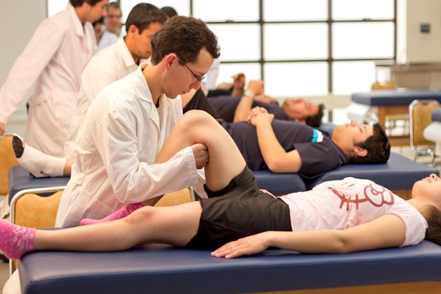 Kinesiologist là ai?