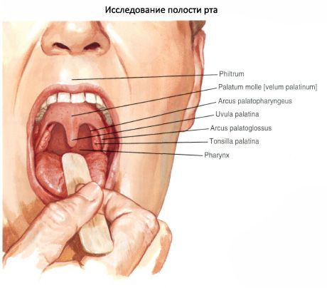 Bầu trời