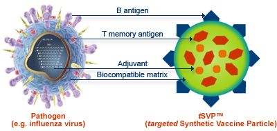 Một loại vắc-xin tổng hợp phức tạp dựa trên các phân tử DNA đã được tạo ra
