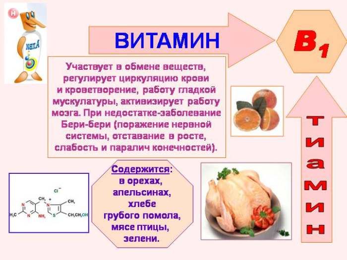 Các tính chất của vitamin B1