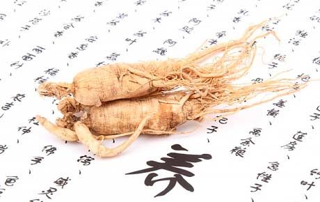 Nhân sâm trong thời kỳ mang thai